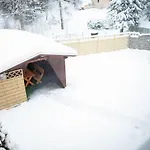Ferienhaus Sehmatal Sehmatal
